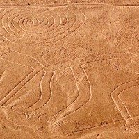 Nazca Monkey
