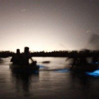 Bioluminescent Bay Kayaking