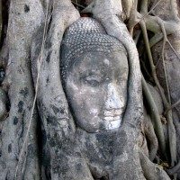 Buddha Head, Ayutthaya, Thailand