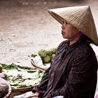 Vietnamese market