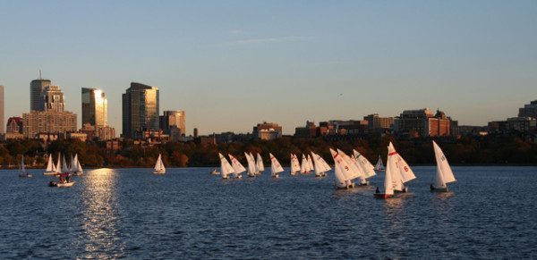 Boston Harbor Sail Boats
