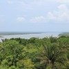 A view of Belize River from Lamanai