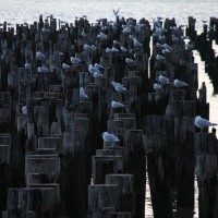 Old Hudson Pier in New York City