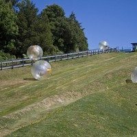 Zorbing in New Zealand