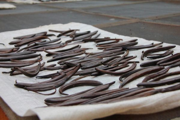 Brown Vanilla Belize Spice Farm