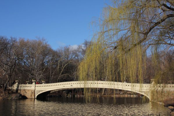 Central Park Lake Bow Bridge, New York