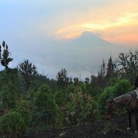 Pacaya Volcano, Antigua, Guatemala