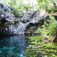 Gran Cenote, Tulum, Mexico