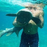 Shark-Ray Alley, Hol Chan, Belize