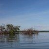 Fishing in Placencia