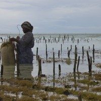 Zanzibar, Tanzania