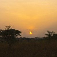 African Sunrise