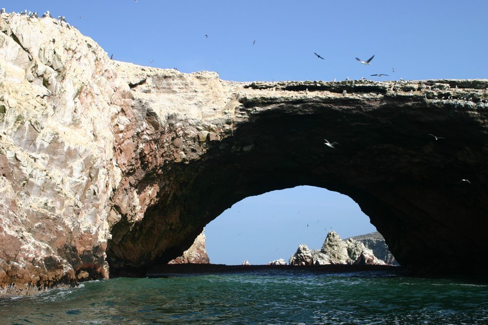 Ballestas Islands, Paracas
