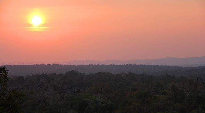 Sunset view form top of Temple IV at Tikal, Guatemala
