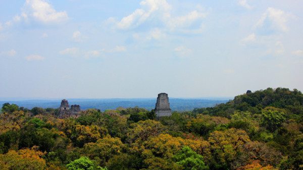 View form Temple IV View form Temple IV Tikal Guatemala