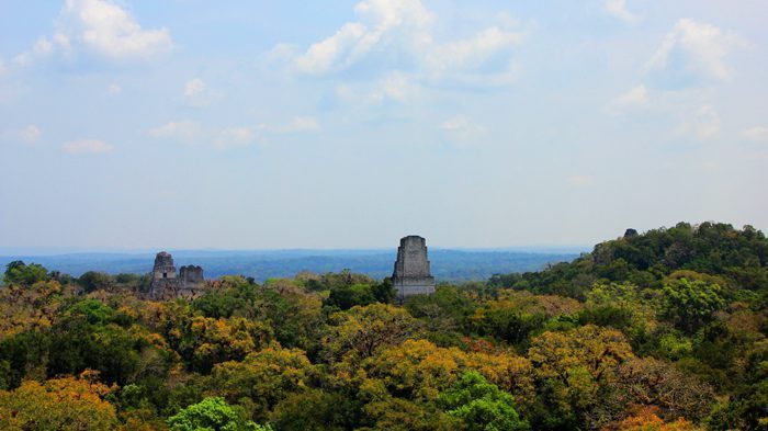 View form Temple IV Tikal Guatemala