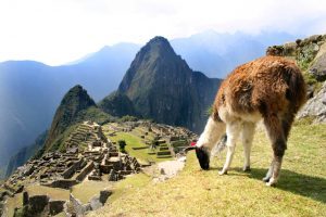 The Ruins of Machu Picchu, Peru
