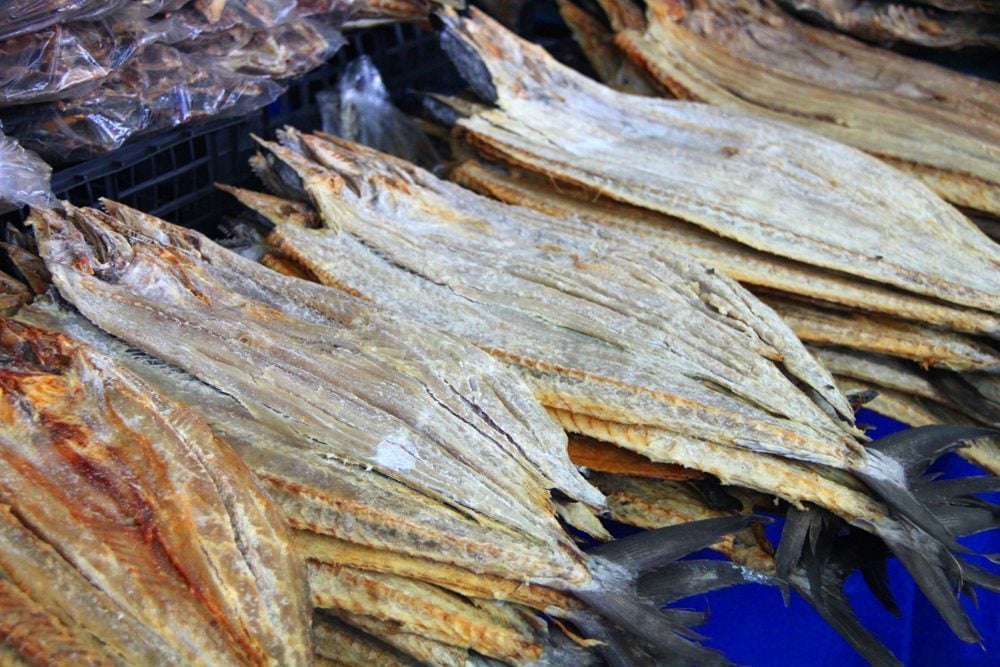 Photo Essay Puerto De La Libertad, El Salvador GloboTreks