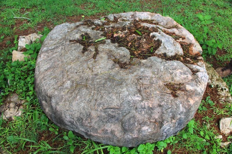 Maya 2012