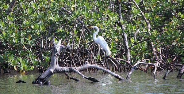 Placencia, Belize