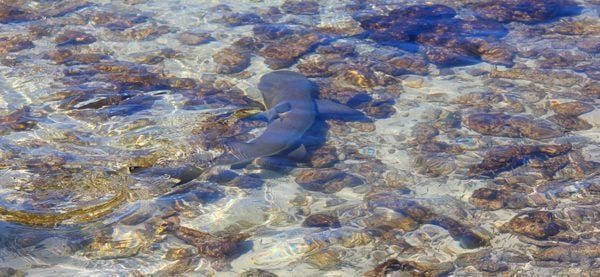 Placencia, Belize