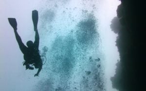 Blue Hole in Lighthouse Reef in Belize