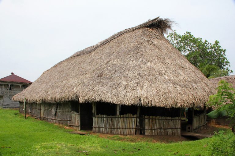 Dabuyaba at Barranco Community in Toledo, Belize