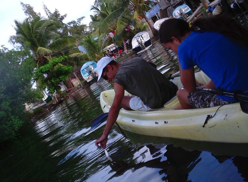 Kayaking in Caye Caulker with Ocean Academy
