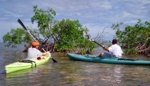 Kayaking in Caye Caulker with Ocean Academy
