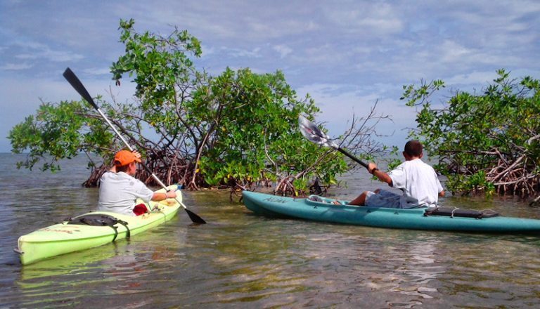 Kayaking in Caye Caulker with Ocean Academy