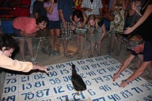 World Famous Chicken Drop, San Pedro, Belize
