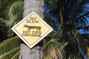 Funny Signs in Belize