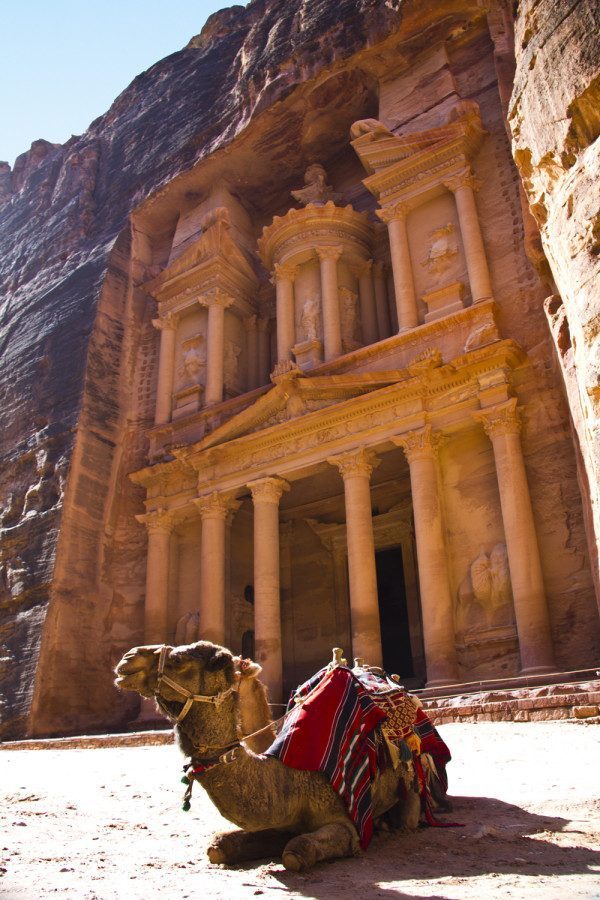 The Treasury and Camel Petra, Wadi Musa, Jordan