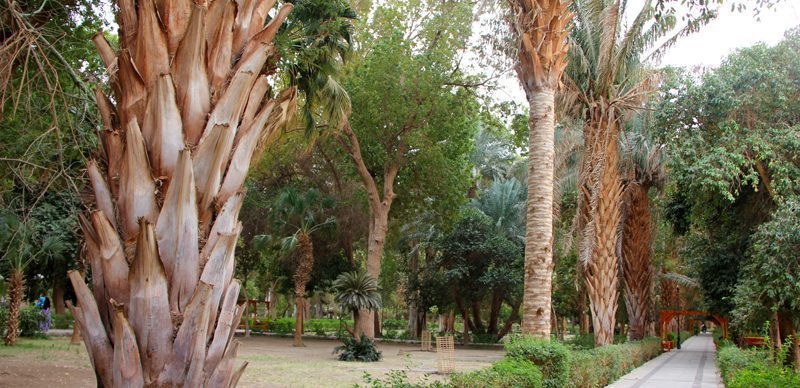Botanical Garden Aswan, Egypt