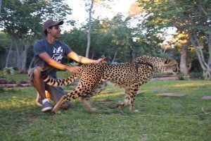 Mukuni Big 5 Safaris