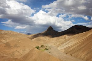 Road Trip through the Himalayas in India