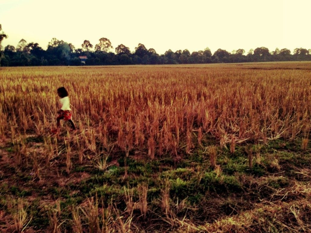 Girl in rice field in Siem Reap, Cambodia