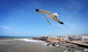 Essaouira, Morocco