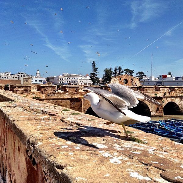 Essaouira, Morocco
