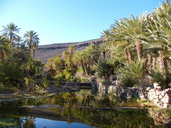 Ouarzazate, Morocco