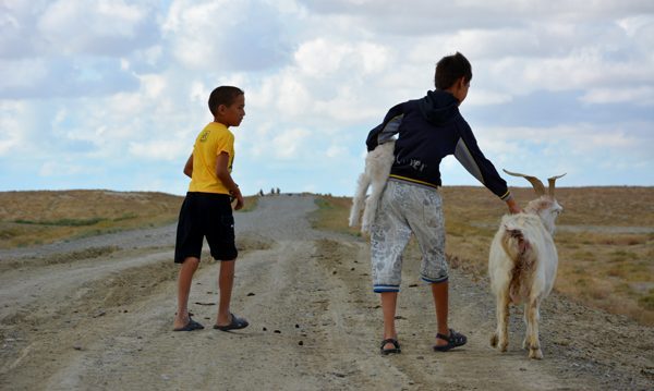 Mongol Rally in Kazakhstan