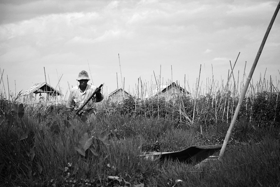 floating garden farmer in Inle Lake in Myanmar