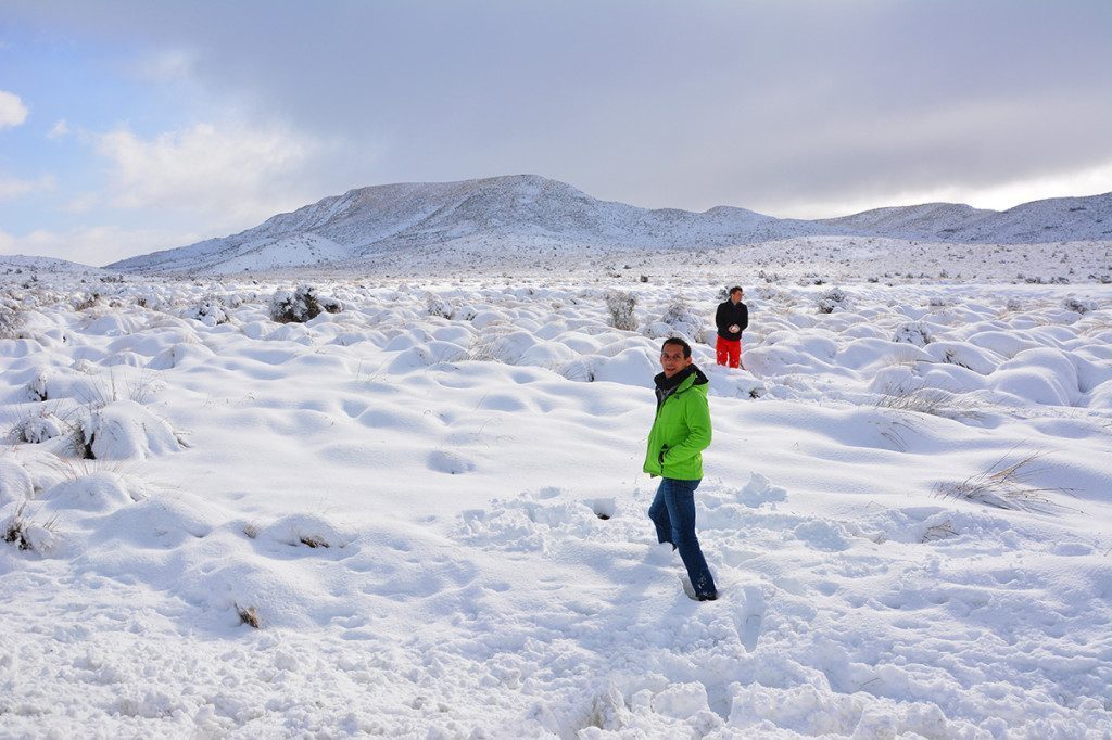 Snowy day in New Zealand