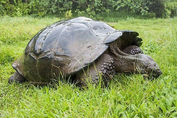 Galapagos Islands, Ecuador