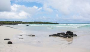 The beautiful Tortuga Bay in Galapagos, Ecuador