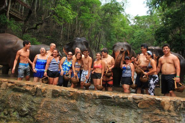 The family with Elephants in Chiang Mai, Thailand