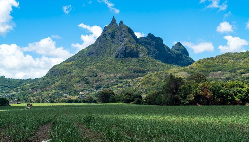 Le backpacking à Maurice - Le Pouce Mountain