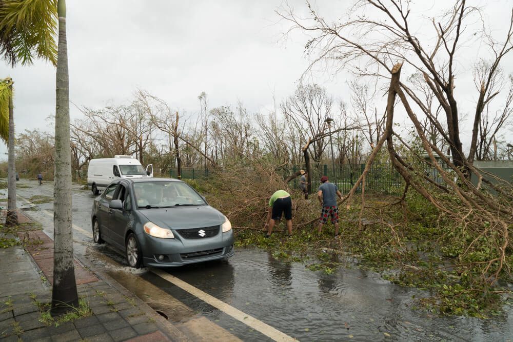 Neighbors cutting branches after Hurricane Maria
