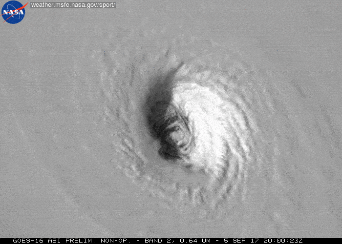 Hurricane Satellite Image