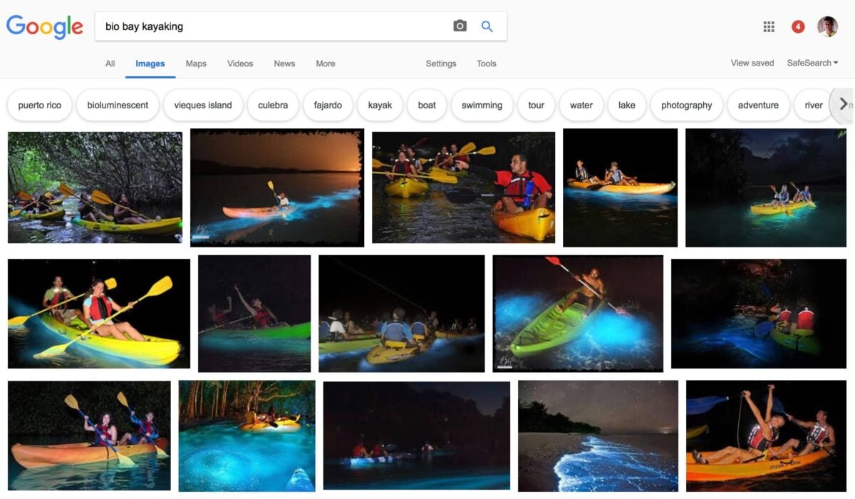 Bio bay kayaking google image results